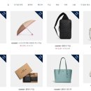코치(Coach) 카카오 검색결과