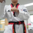 서산최강태권도 이미지