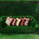 구찌구찌 이미지