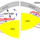 연세바른안과의원 이미지