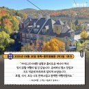 (야간)와인 클래스 : 신대륙편 | [단풍국 캐나다 가을단풍여행]&#39;파란여행&#39;의 퀘벡+몽트랑블랑 2박3일 여행후기 2-1호차 (2025.09.30)