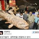 리앤이라마띠네 KAIST본원서측식당 | [내돈내산] 대전 카이스트 학생식당 서맛골 석식 외부인 학식 후기, 가격, 식단