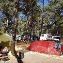 용오름캠핑장 이미지