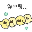 댕댕이 목욕탕 이미지