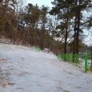 슈필렌유치원 이미지