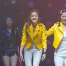 롤리폴리 이미지