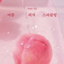 붓쟁이 | [책리뷰] 여름피치스파클링