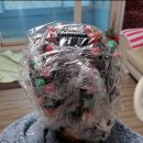 더펌(The Perm)