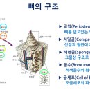 우리교정치과기공소 이미지