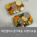 남선로 | 대전샐러드정기배송 오렌지보울 새벽배송 후기