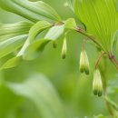 동막골약수터 이미지