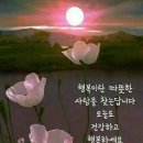 명원 이미지