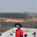 더덕쟁이 이미지