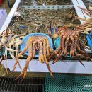 대영수산 이미지