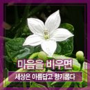 향기공감 이미지