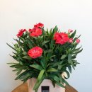 남한산성입구역 2번출구 이미지