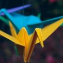 도전 종이접기 자격증 이미지