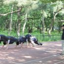 쌍용부품경주