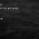 청노루