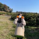 삼당농장 이미지