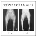 진정훈동물병원 이미지