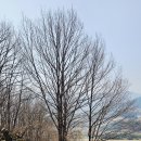 구례의길(섬진강길) 이미지