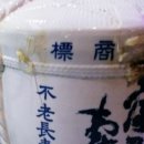 동백코스(서천-군산) 이미지