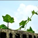 남계2리 이미지