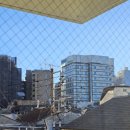 넘실 포켓공원 | [8박9일 도쿄 여행] 3일차 :: 코메다커피/팀랩플래닛/오다이바/롯폰기/츠지한