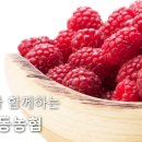 상동농업협동조합(농협) 이미지