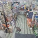 임영약국 이미지