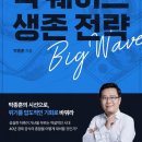 빅웨이브 Daum카페