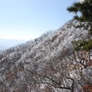 오도재-오도봉-삼봉산-등구재-백운산-금대봉-마천중학교(02) 이미지