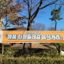 댕이골전통음식거리 이미지
