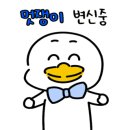 프리티파우 이미지