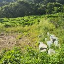 청도농장 이미지