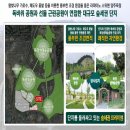 옥정 왕벚나무길 이미지