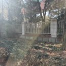 청솔중학교 앞 이미지