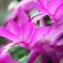 행복 빛으로부터 이미지