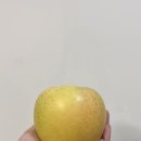 과일킹 | 직송] 새콤달콤 상큼함과 아삭한 식감이 남다른 시나노골드 사과 택배 배송후기, 새콤달콤과일킹 배송 후기