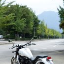 데이토나 이미지