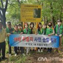 승수정비 이미지