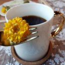 커피별여행자 이미지