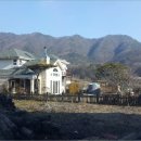 비야대정로 이미지