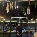 록시드갸토 미사점 이미지