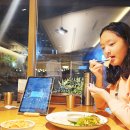 올림픽수영장 이미지