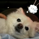 아이해브띵스 | 에어컨 없이 못 사는 계절 도착