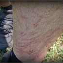 올레목장 이미지