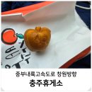 한국도로공사 충북본부 | 충주휴게소 하행 맛집 간식 먹거리 사과빵 창원방향