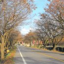 금강나루영농조합법인 이미지